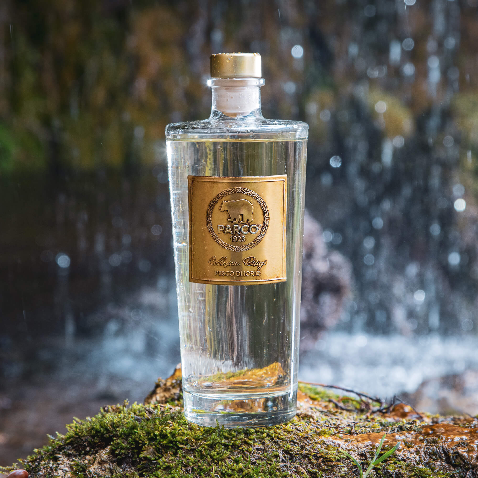 PESCO DI IORIO RICARICA