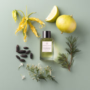 NICE BERGAMOTE BY ANTOINE MAISONDIEU