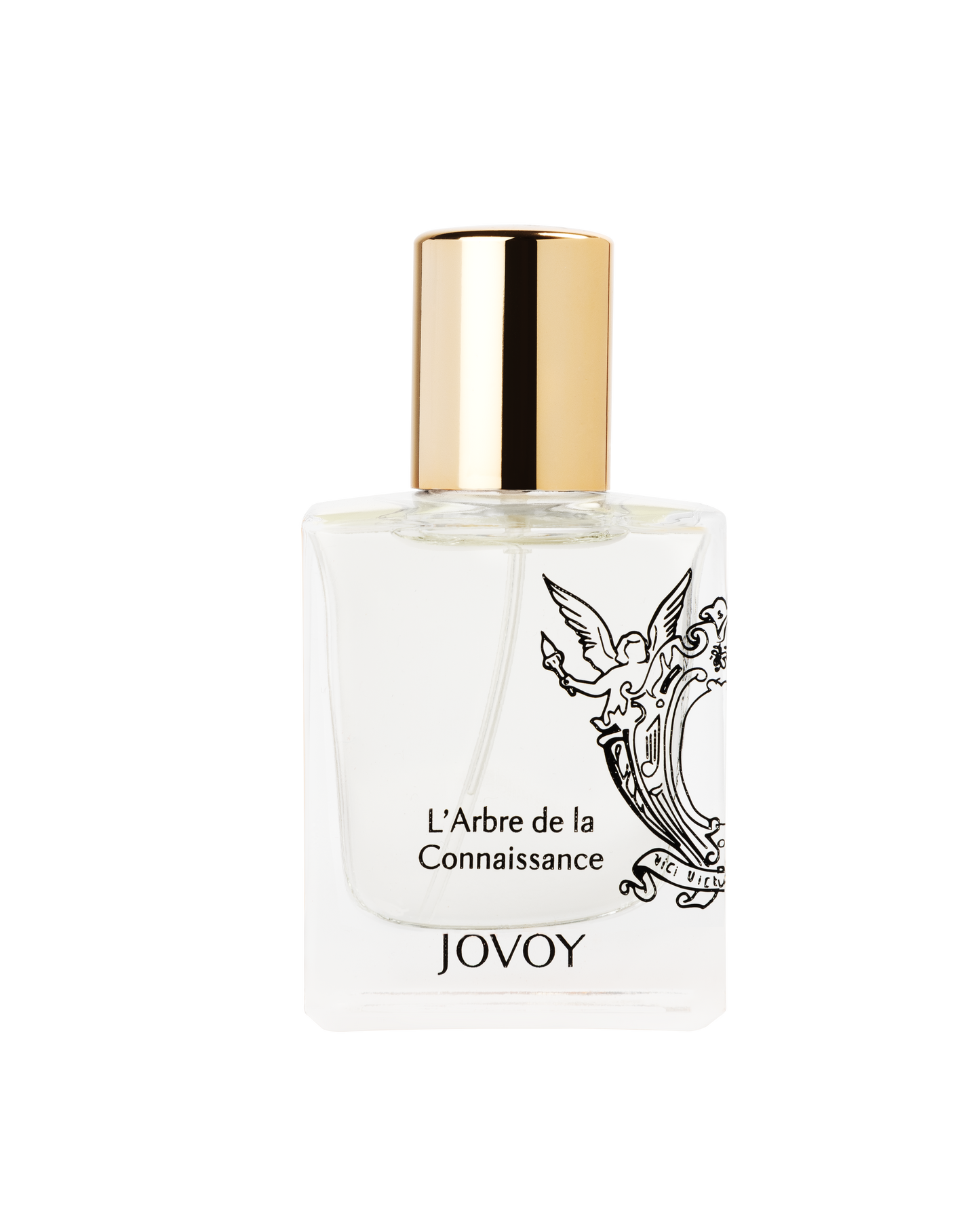 L'ARBRE DE LA CONNAISANCE