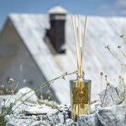 PESCO DI IORIO RICARICA