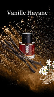 VANILLE HAVANE