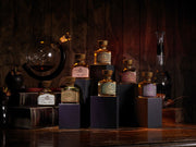 FORT & MANLÉ DISCOVERY SET + V